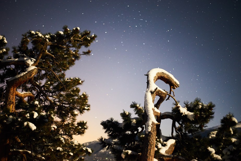 Giving It a&nbsp;Rest